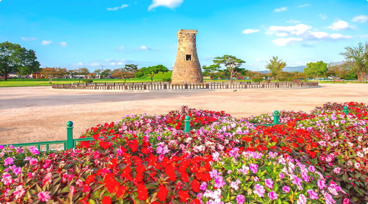 ¿Cuáles son las opciones de vehículos más populares en Gyeongju?